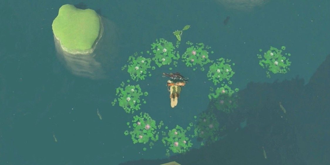breath-of-the-wild-dive-water-lilies-korok-seed-3791503