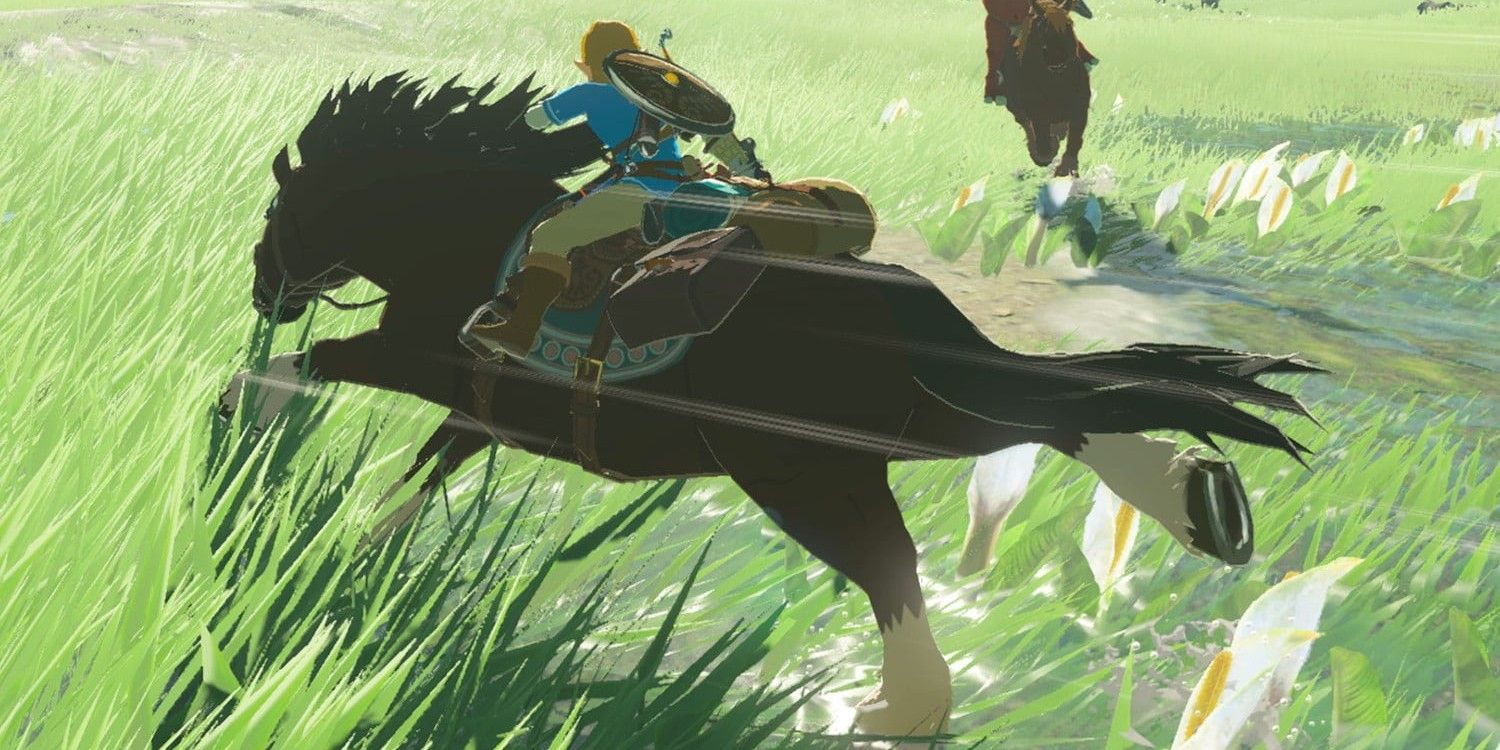 breath-of-the-wild-horse-race-6094448