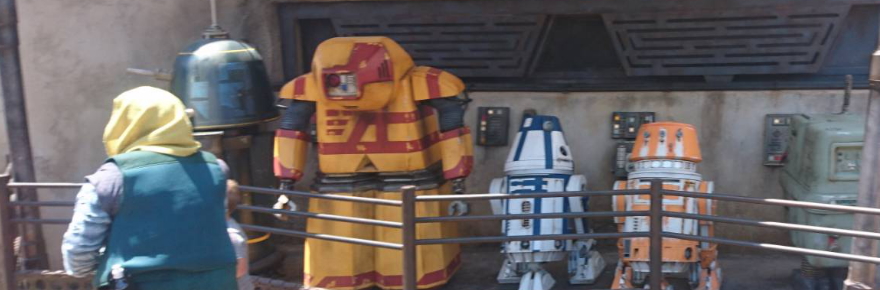 Starwarsgalaxysedge Not The Droids Youre Looking For