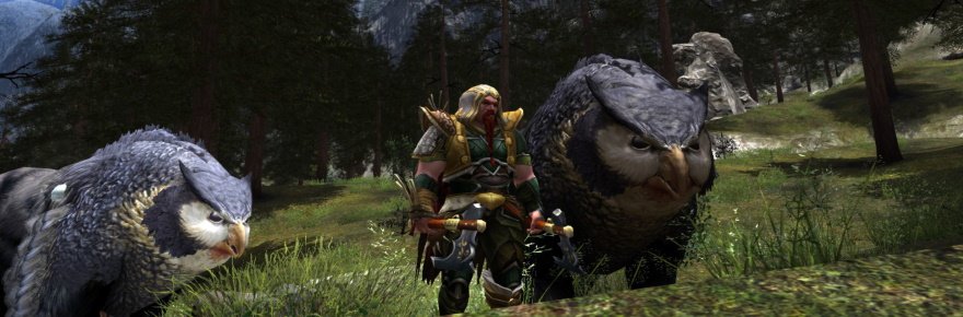 Dungeons And Dragons Online’s Getting Shifty With The Shifter