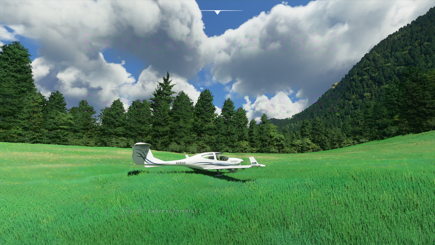 Microsoft Flight Simulator בילד 7 2