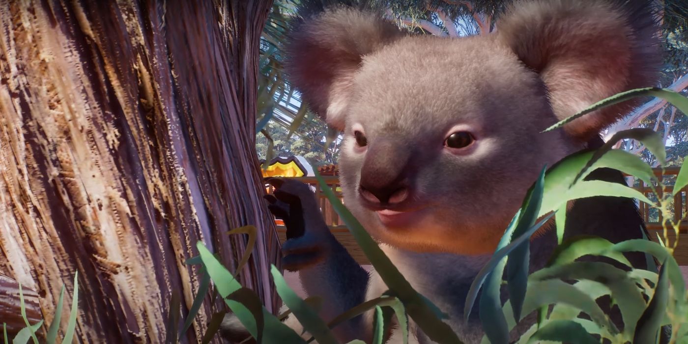 Planet Zoo Launches Australia Pack Dlc And Quality Of Life Updates