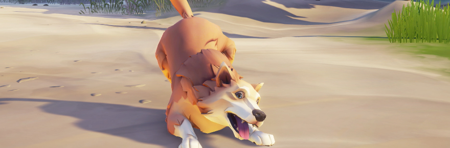Fluffy Dogs Adventure With Salty Dogs: Sea Of Thieves' September Update kynnir hunda