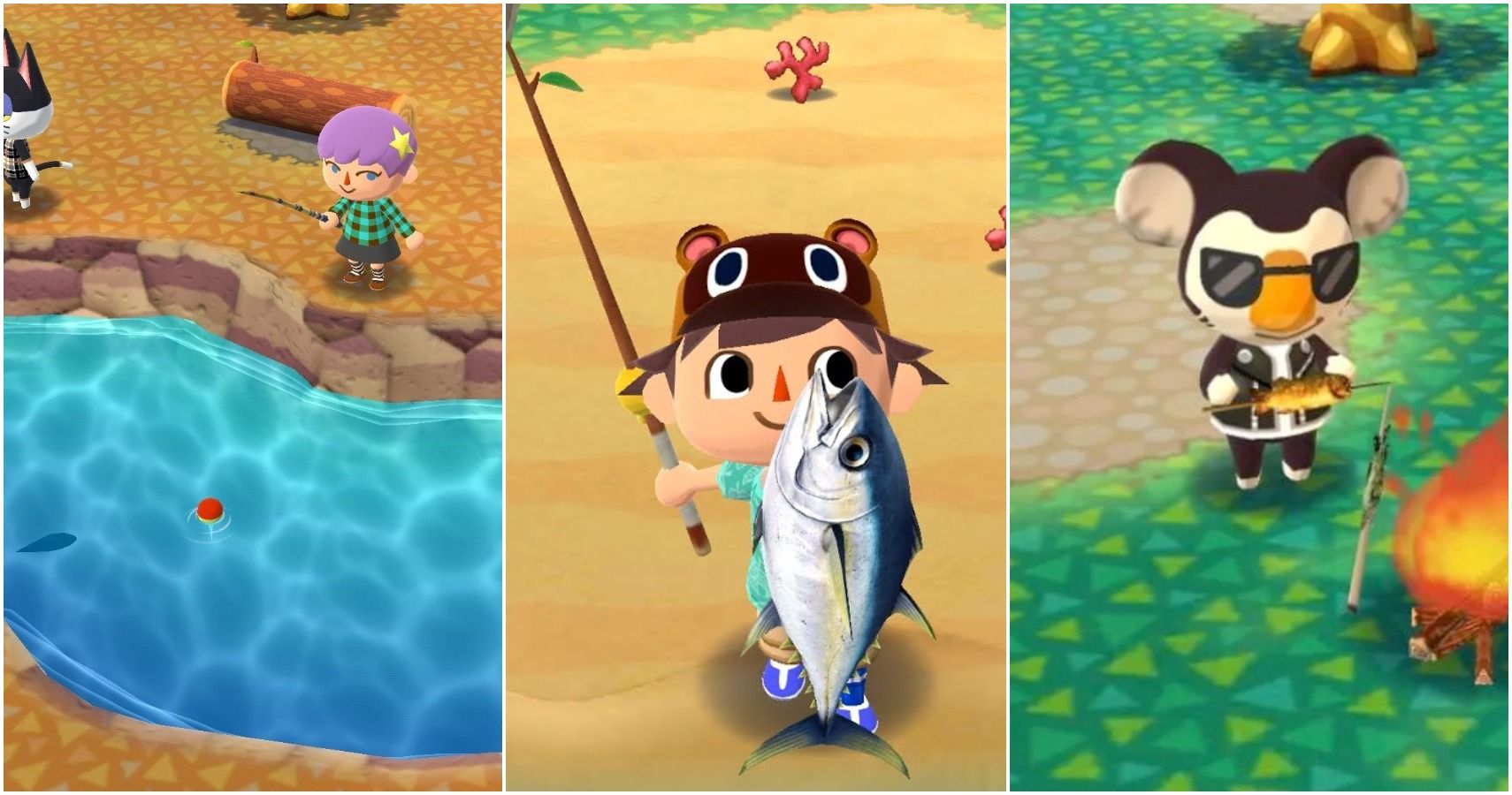Animal Crossing Pocket Camp: alles wat u moet weten over vissen