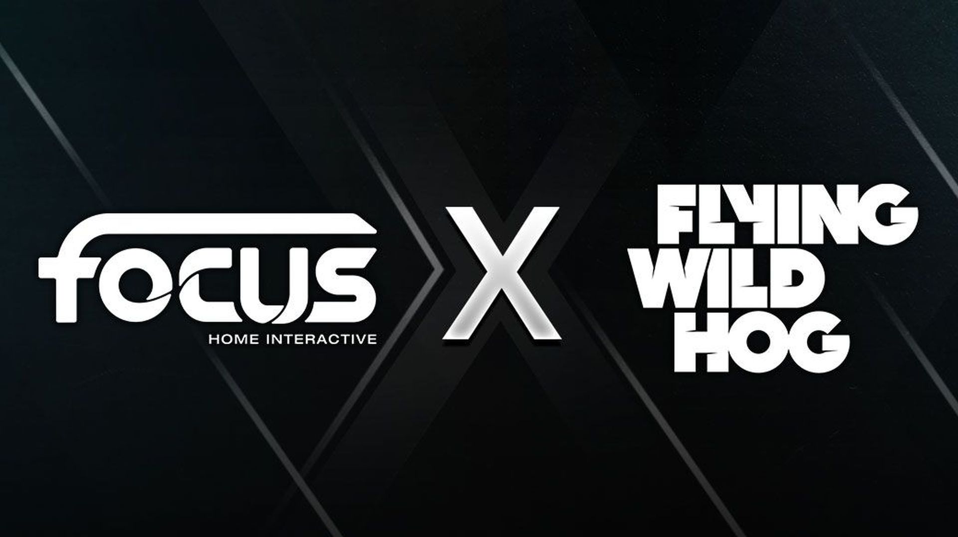 Focus Home Interactive X Flying Wild Hog
