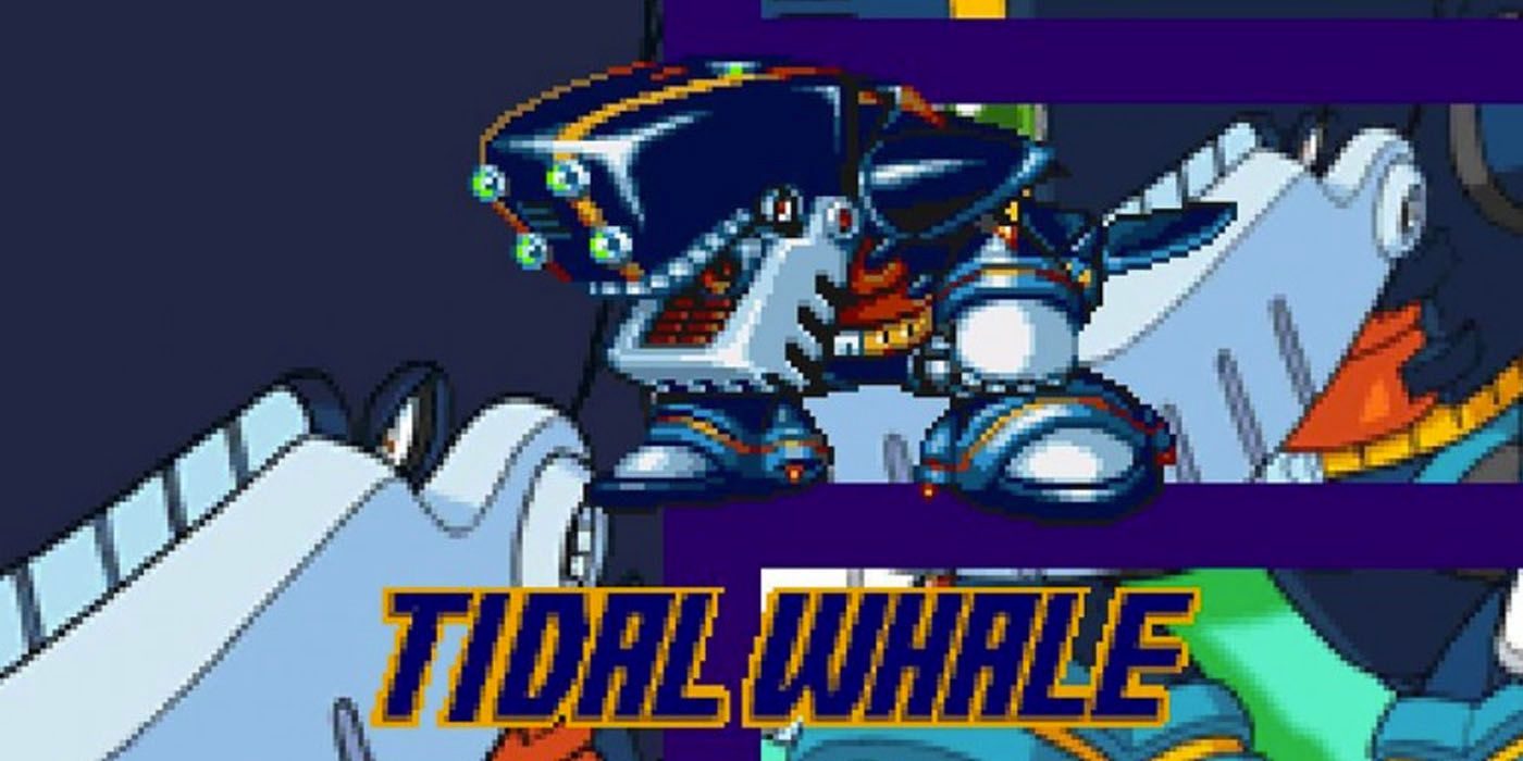 tidal-whale-7659003