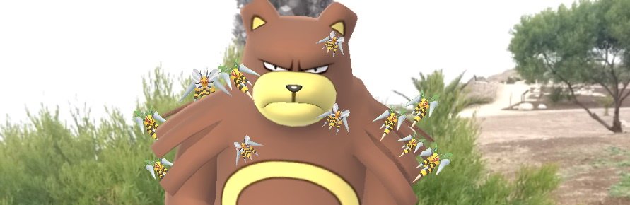 Pokémon gaan steek die beer
