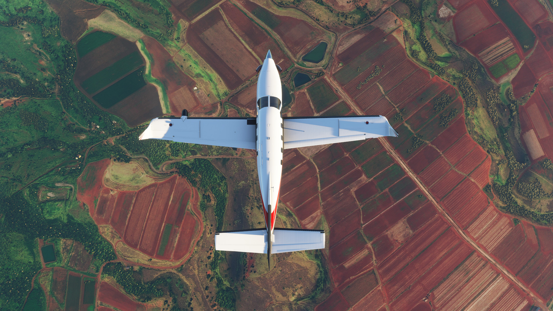Microsoft Flight Simulator Image