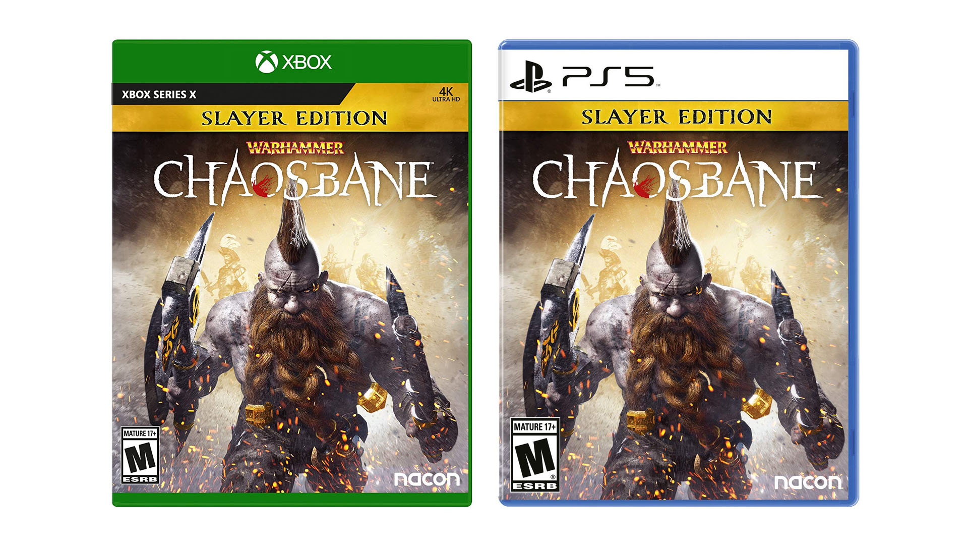 Warhammer: Chaosbane Slayer-Edition