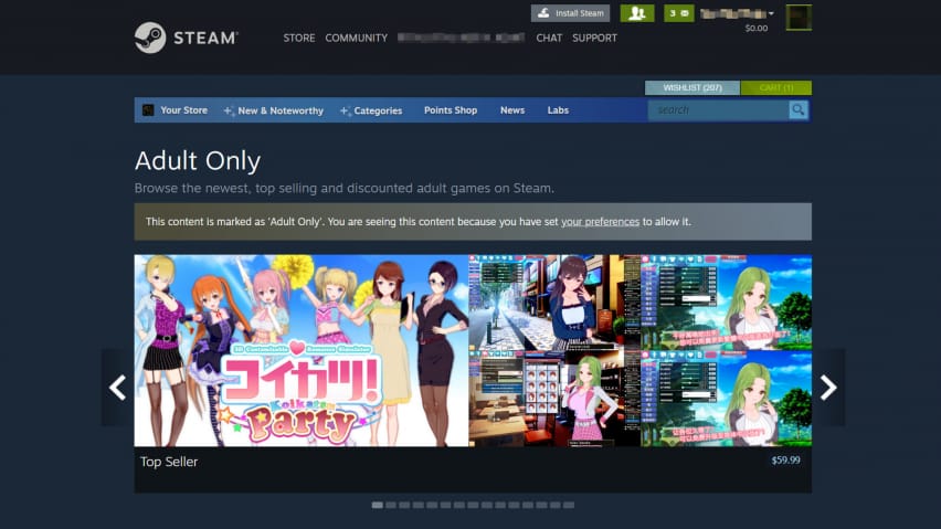 Cover ng Steam Adult Only games