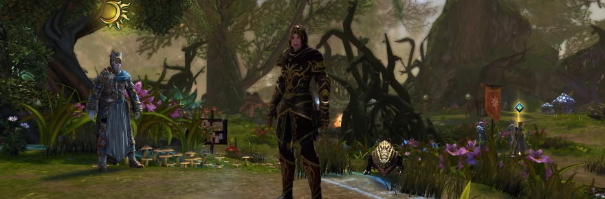 Neverwinter Just A asogbo