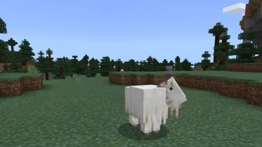 Capa de cabras Minecraft Snapshot 21W13A