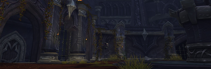 World Of Warcraft Shadowlands Arena, je pense