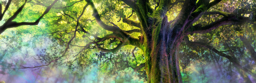 Chronicles Of Elyria Green Green Tree