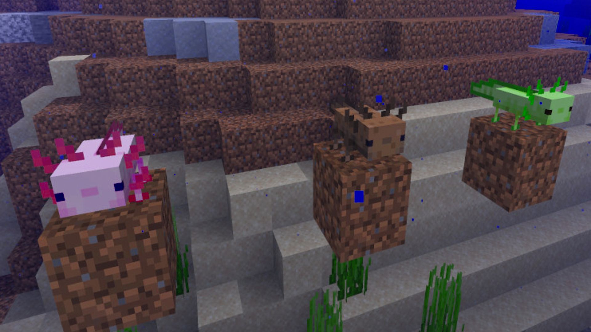 Minecraft Axolotl – everything we know