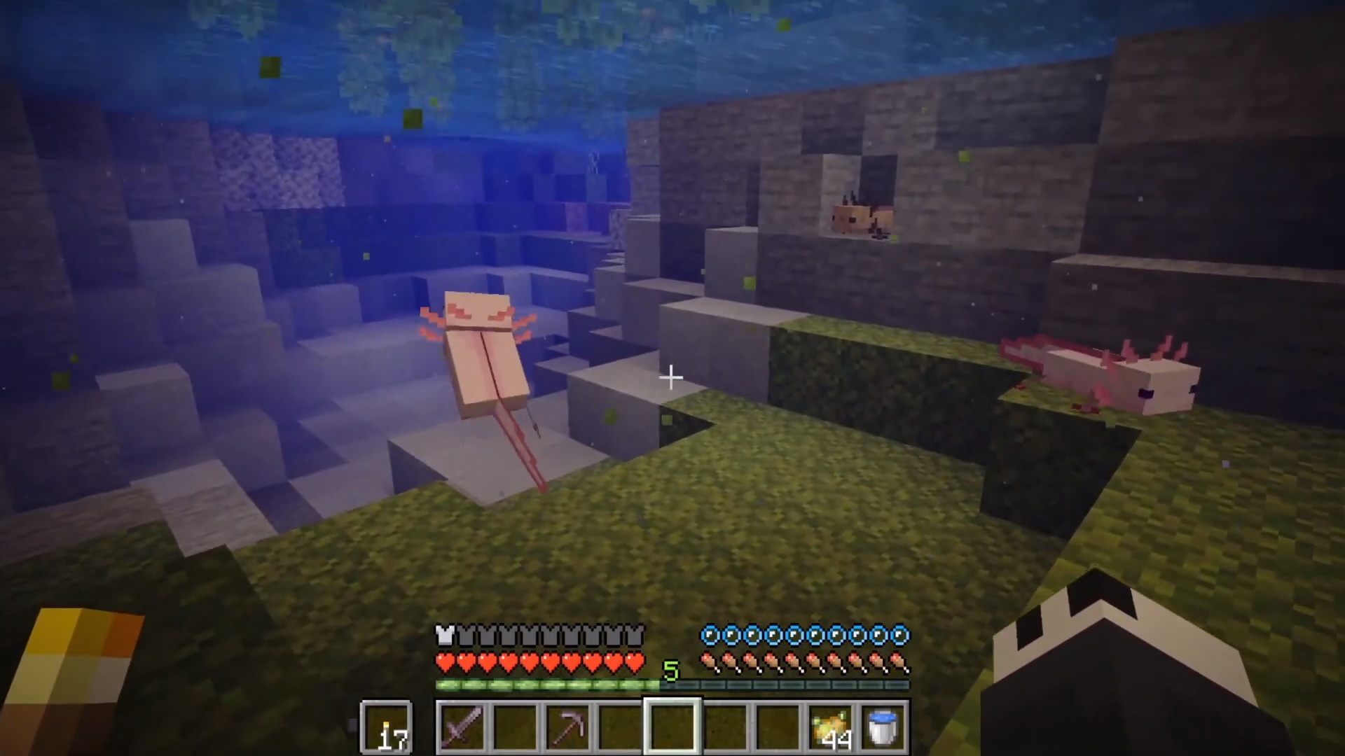 Minecraft փարթամ քարանձավներ Axolotls