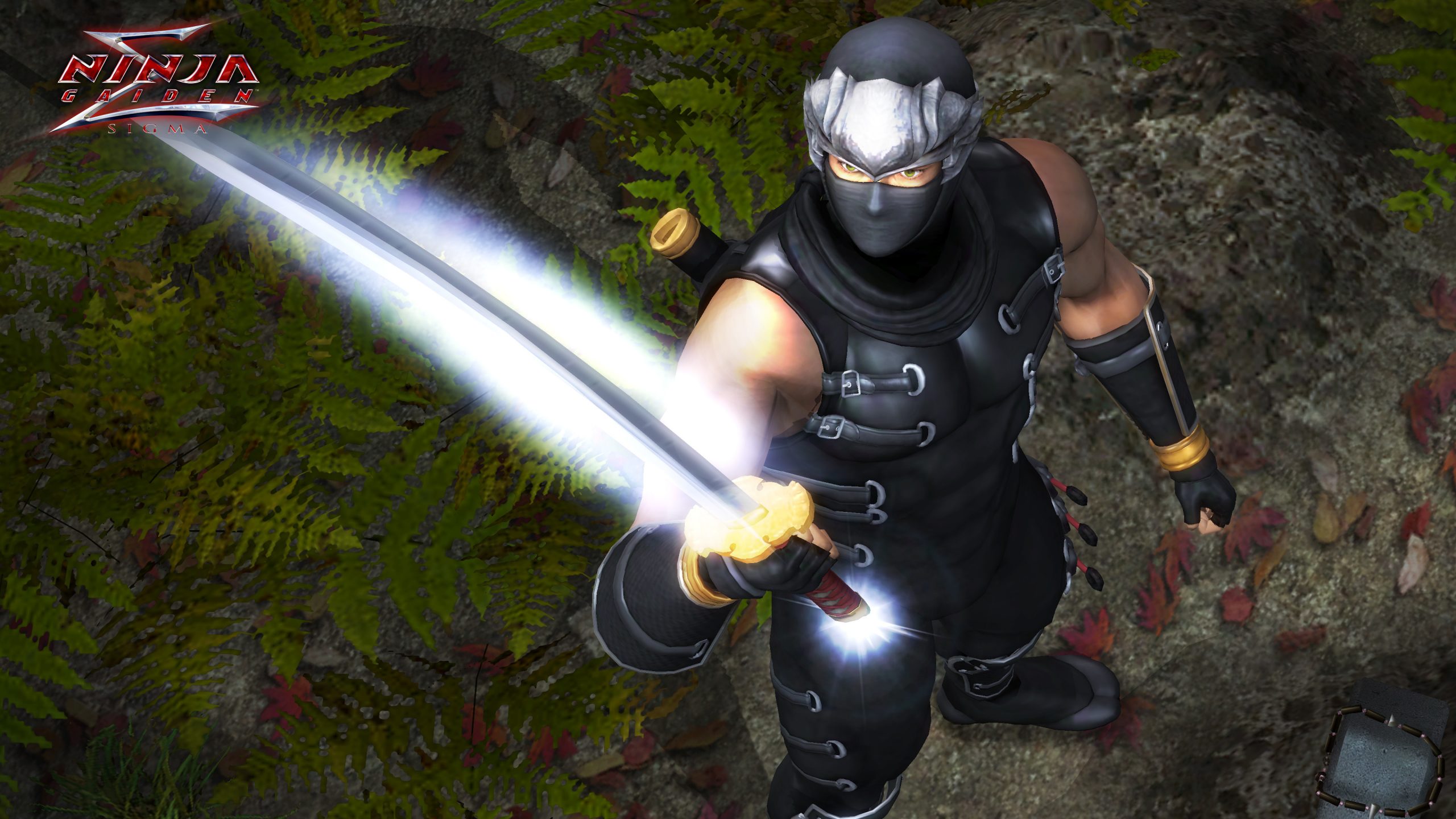 Outra captura de tela de Ninja Gaiden Sigma 1