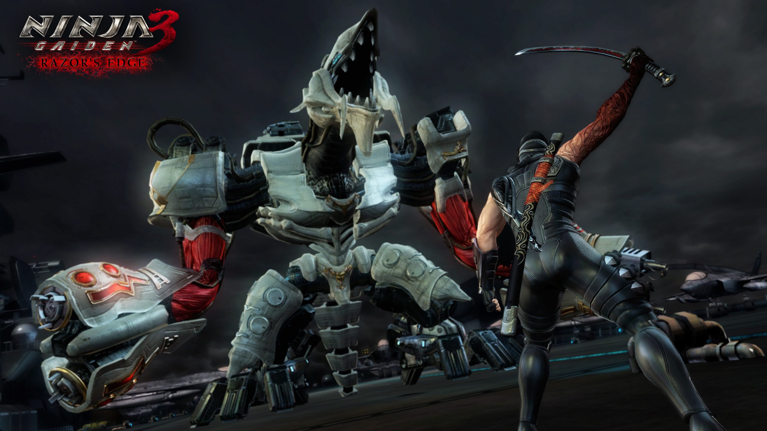 Слика од екранот на Ninja Gaiden 3 Sigma