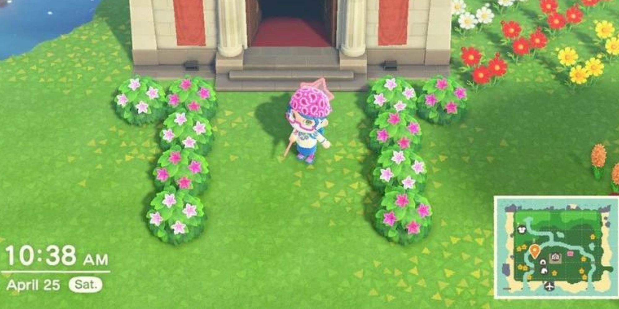 Jogador do Animal Crossing New Horizons ao lado de arbustos de azaléia