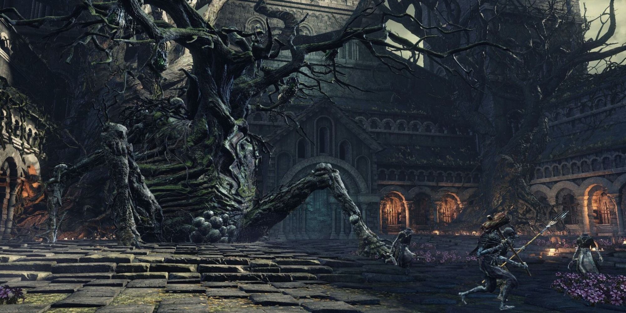 Dark Souls 3 Curse Rotted Greatwood 1