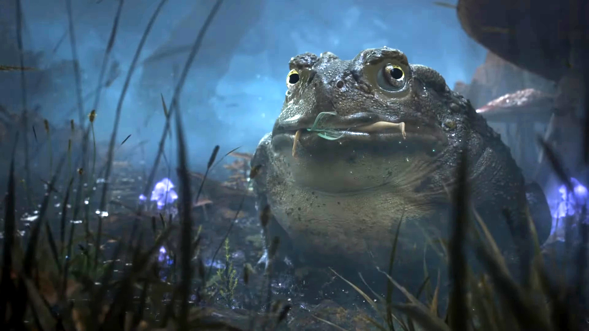 Fable 4 Frog