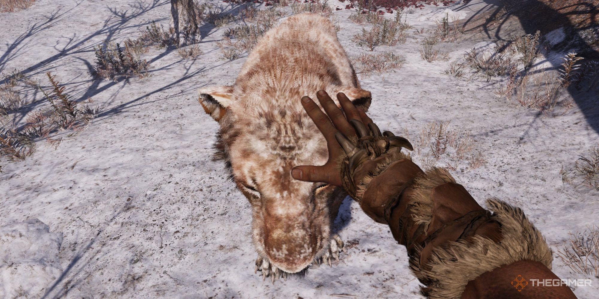 Far Cry Primal Petting Sabretooth