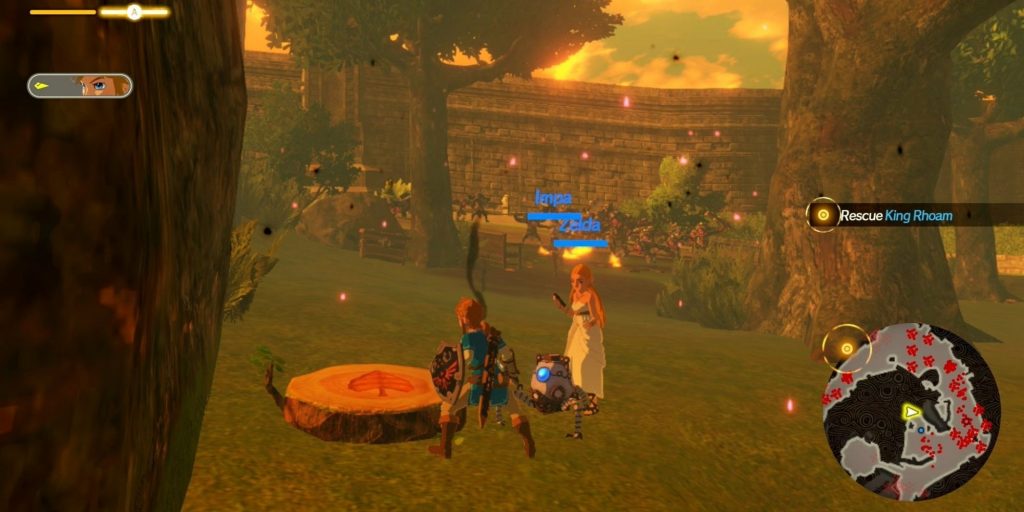 Hyrule Warriors Age Of Calamity Hero Finding Korok Seed In Hyrule Castle