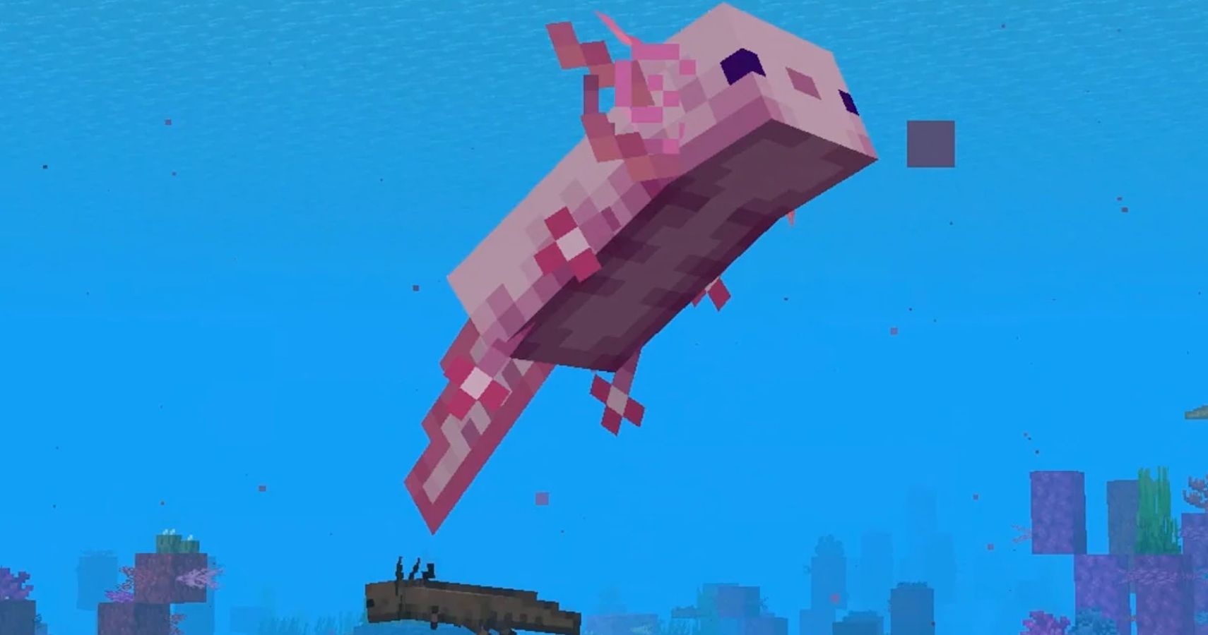 Minecraft Axolotl 1