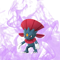 Shadow-Weavile-1