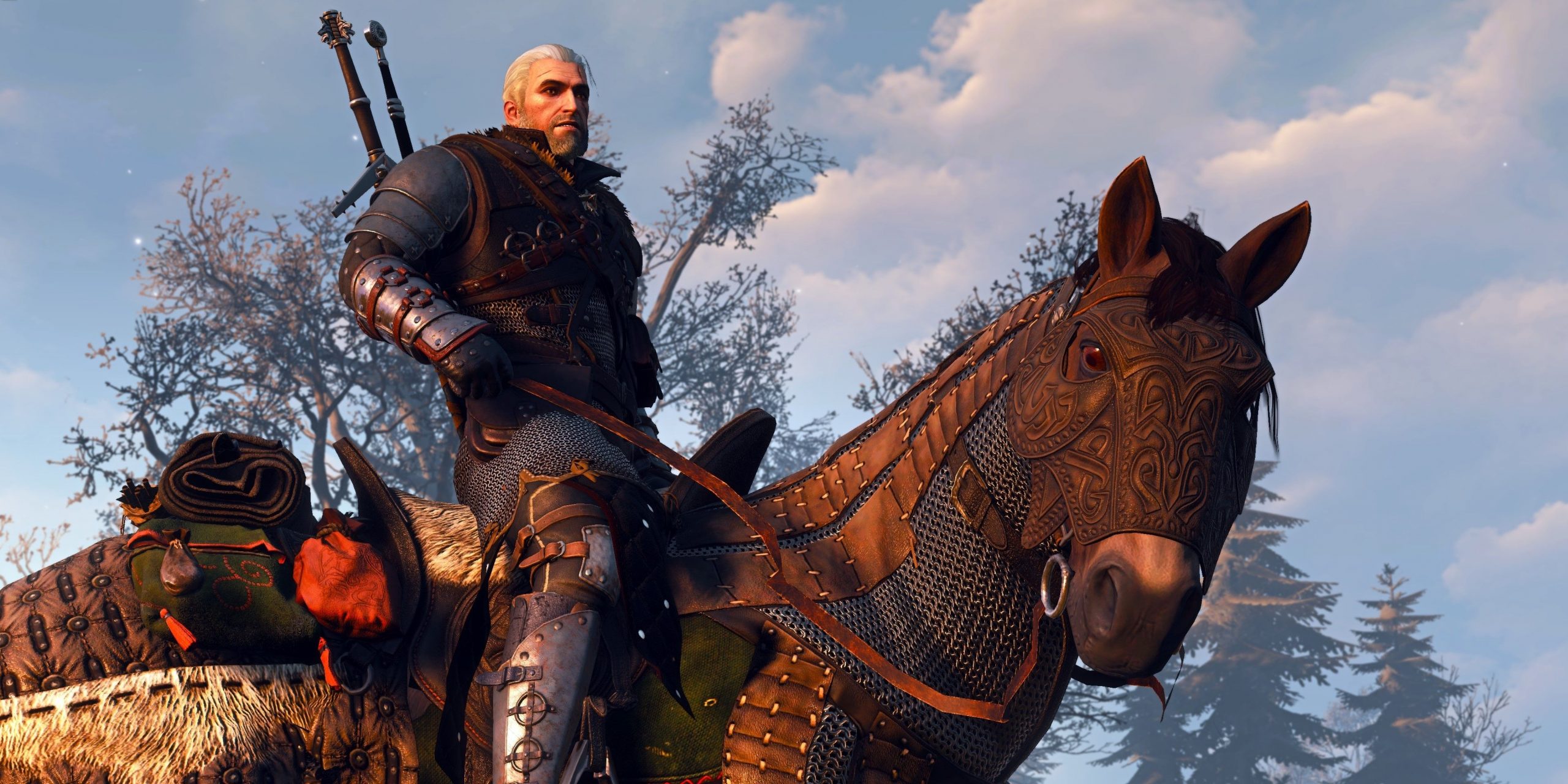 Le sorceleur Geralt et Roach recadrés