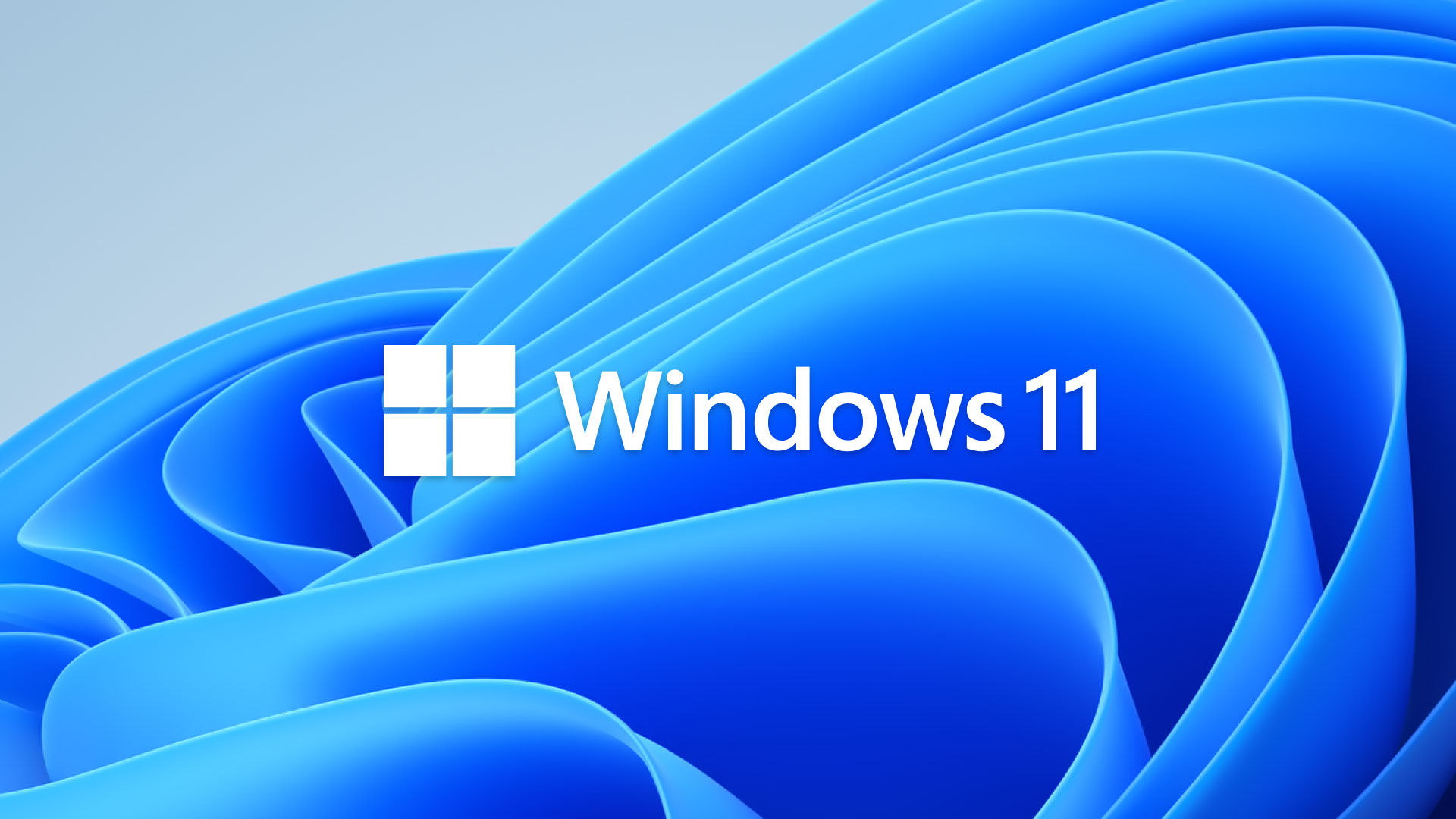 11 Windows Logo