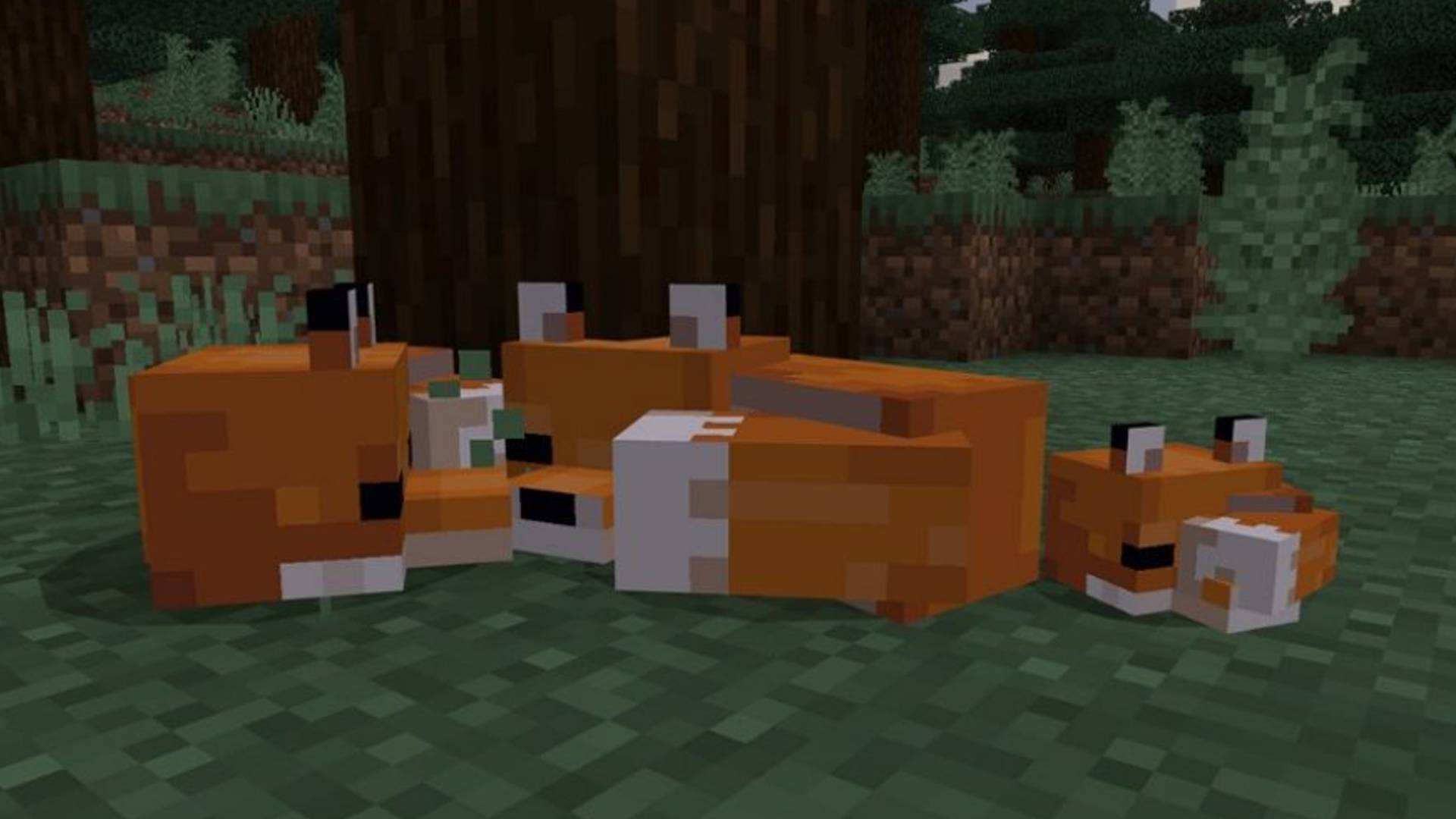 Minecraft Fox How To Tame