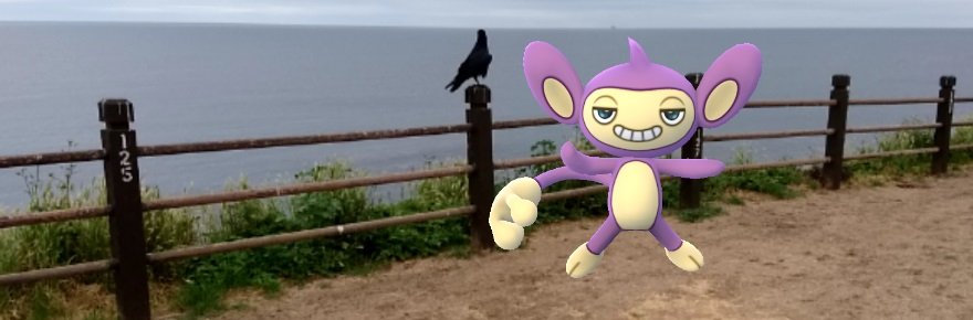 Pokémon Go Poke Amigos