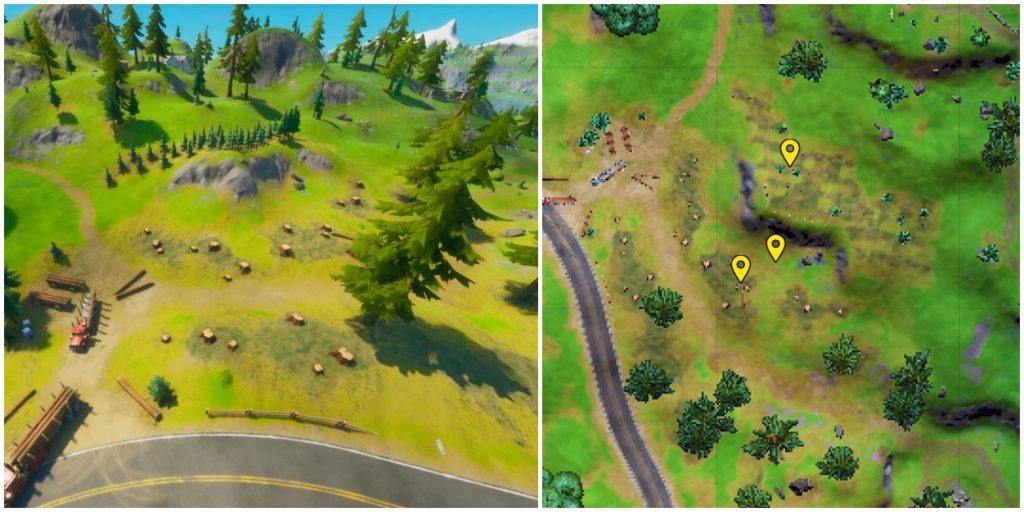 Stumpy Ridge Sapling Locations Fortnite