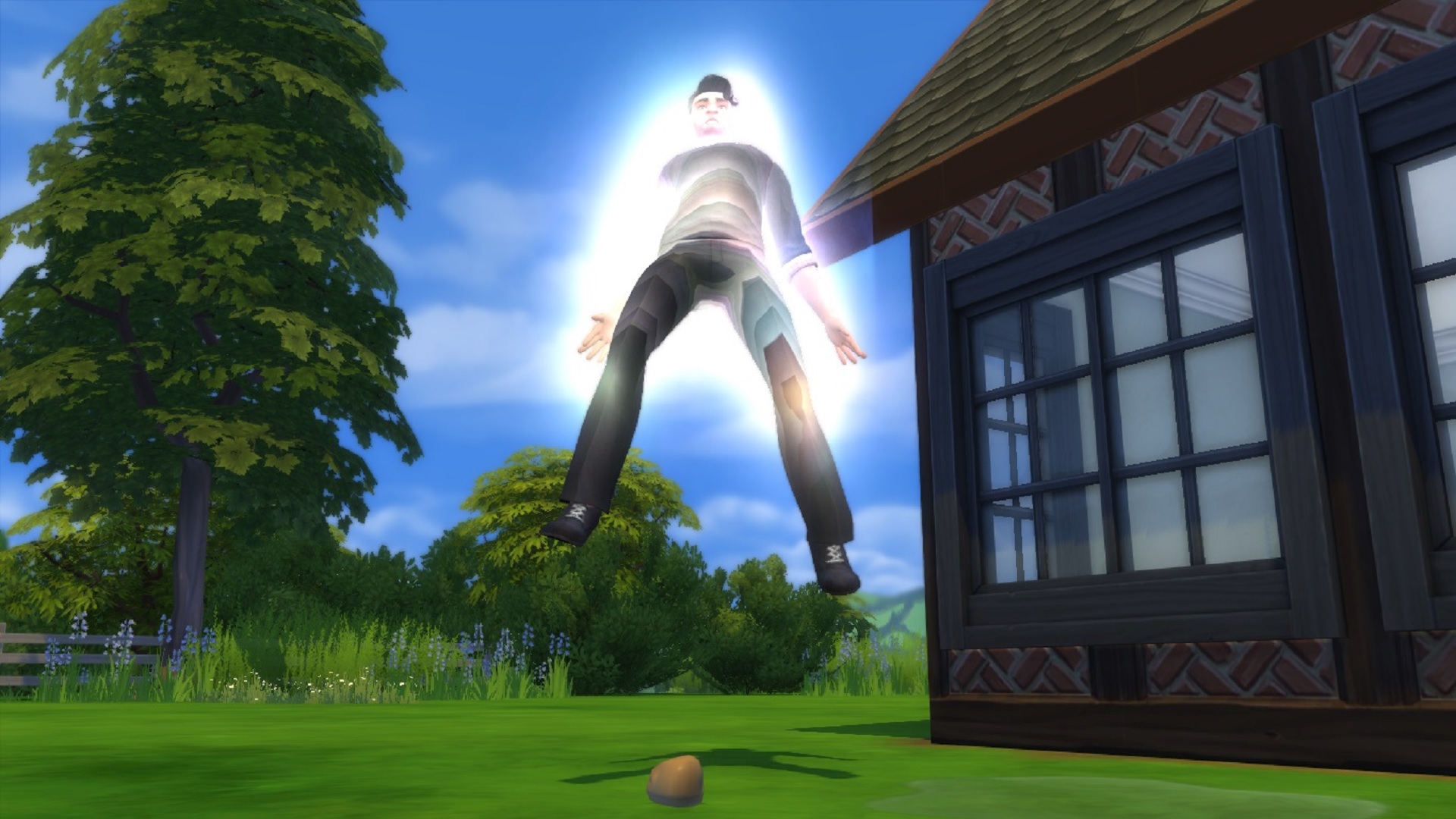 The Sims 4 Чарівник