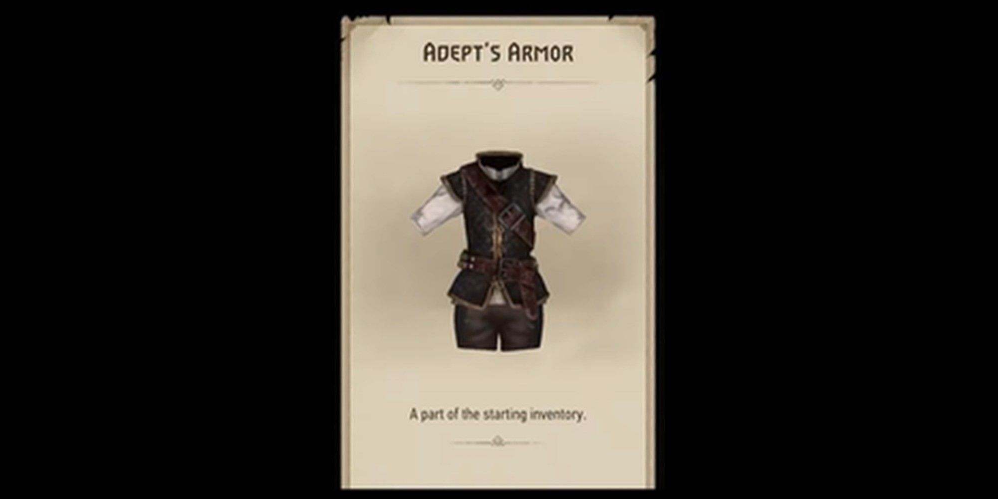 The adept's armor from The Witcher Monster slayer