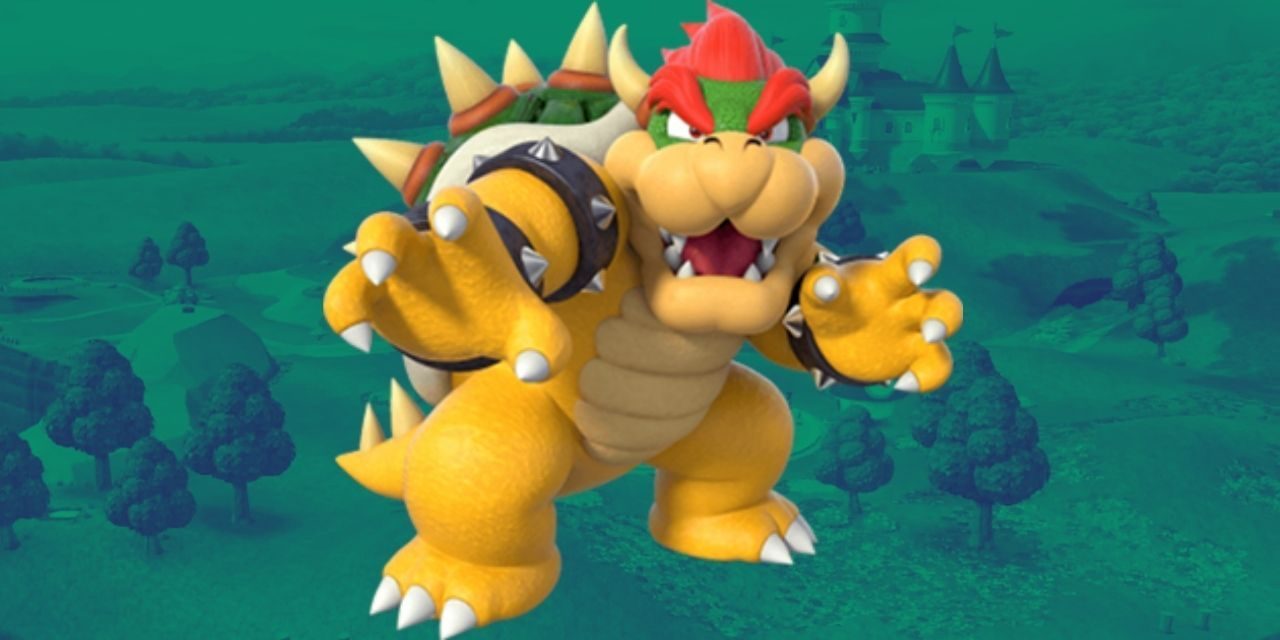 bowser-height-5610069