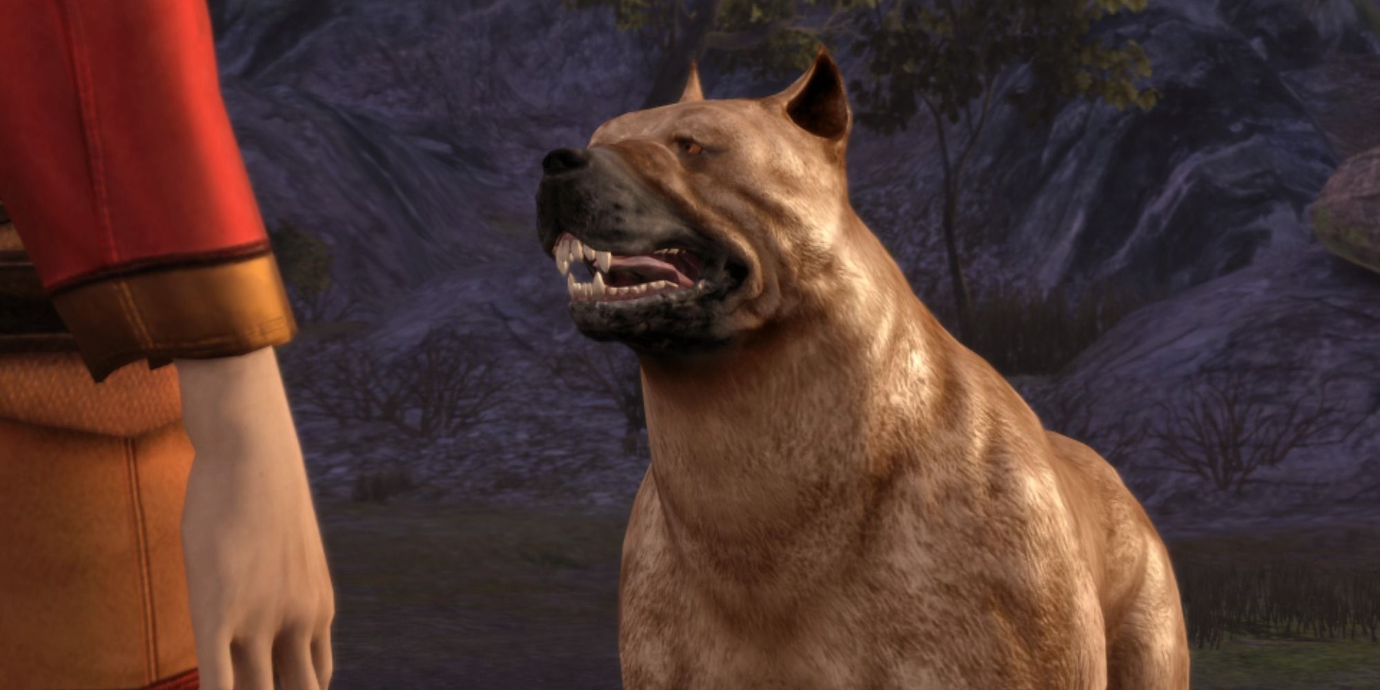 Dragon Age Най-добро куче за спътници