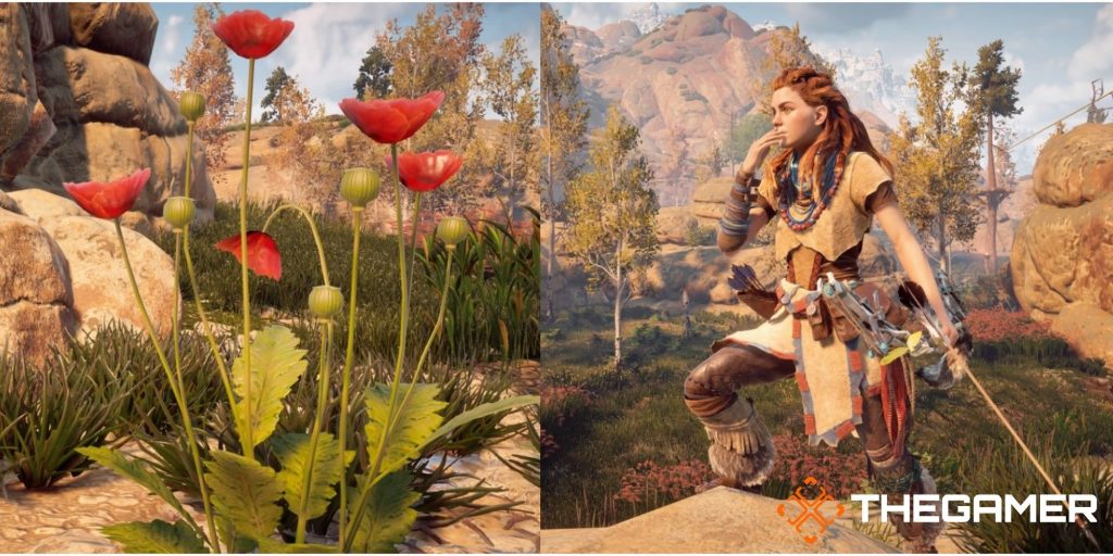 Horizon Zero Dawn Medicinal Plant Aloy