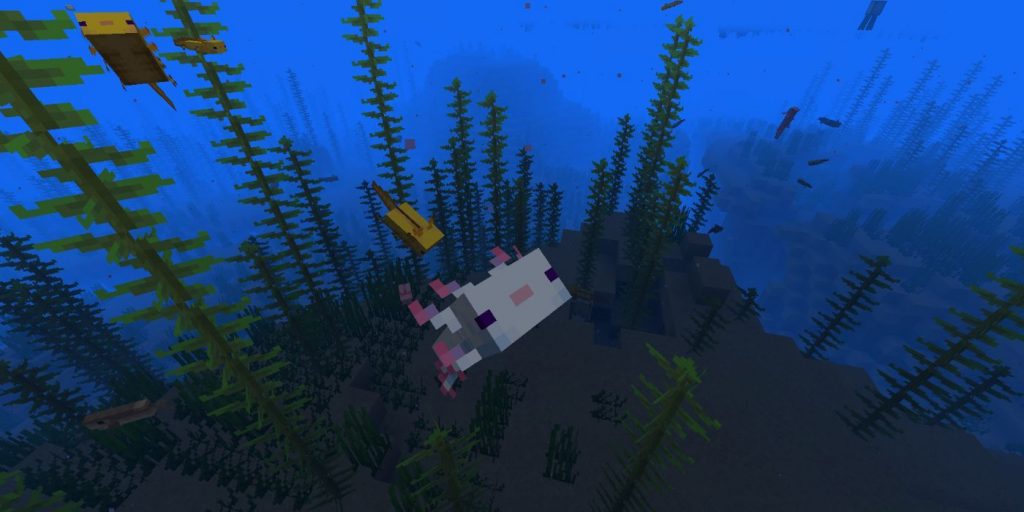 Minecraft Axolotl Diving