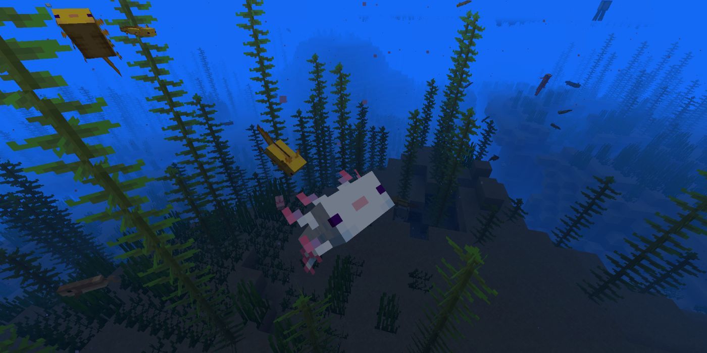 Minecraft Axolotl Diving