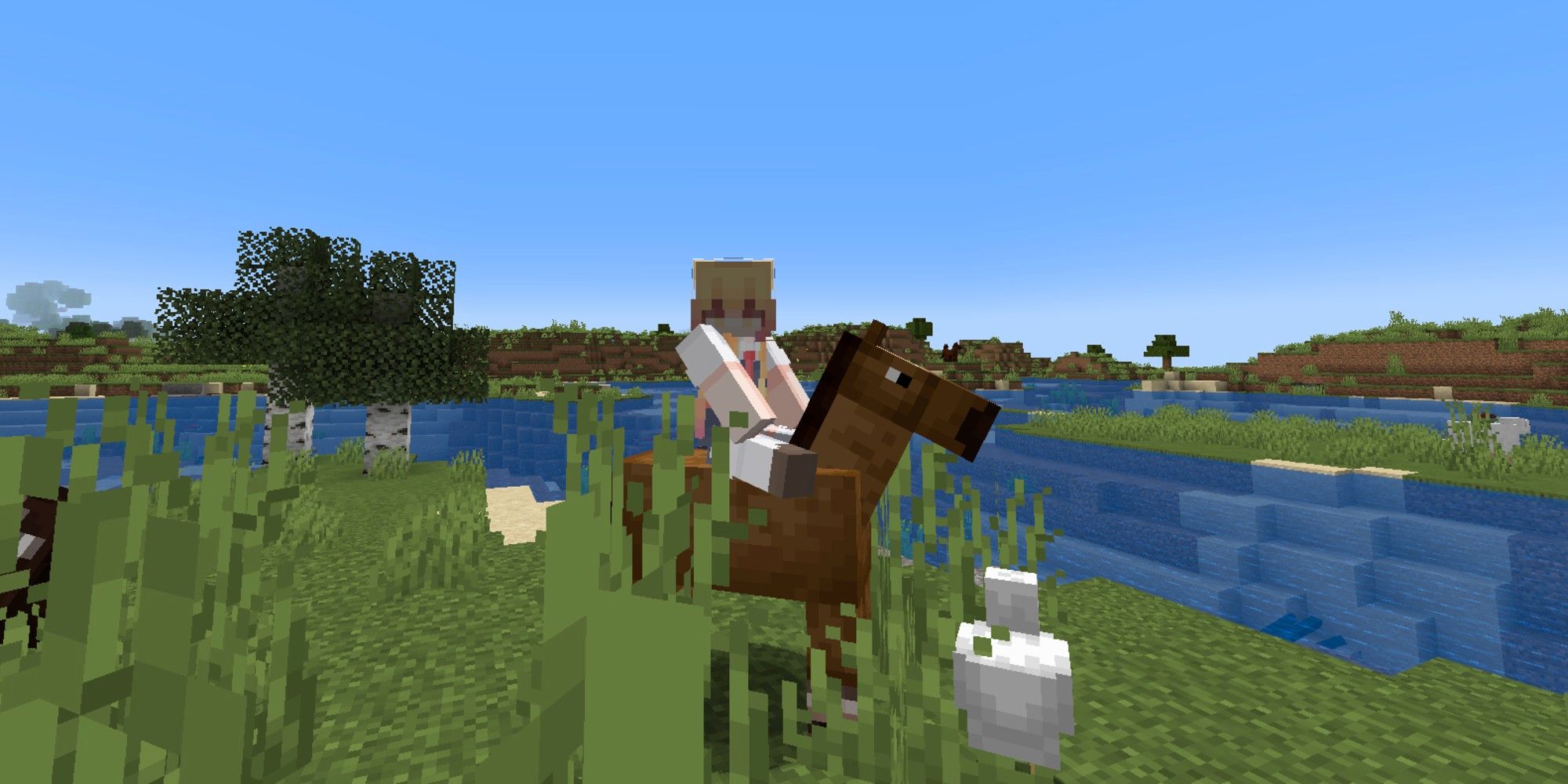 Minecraft घोडा सवारी