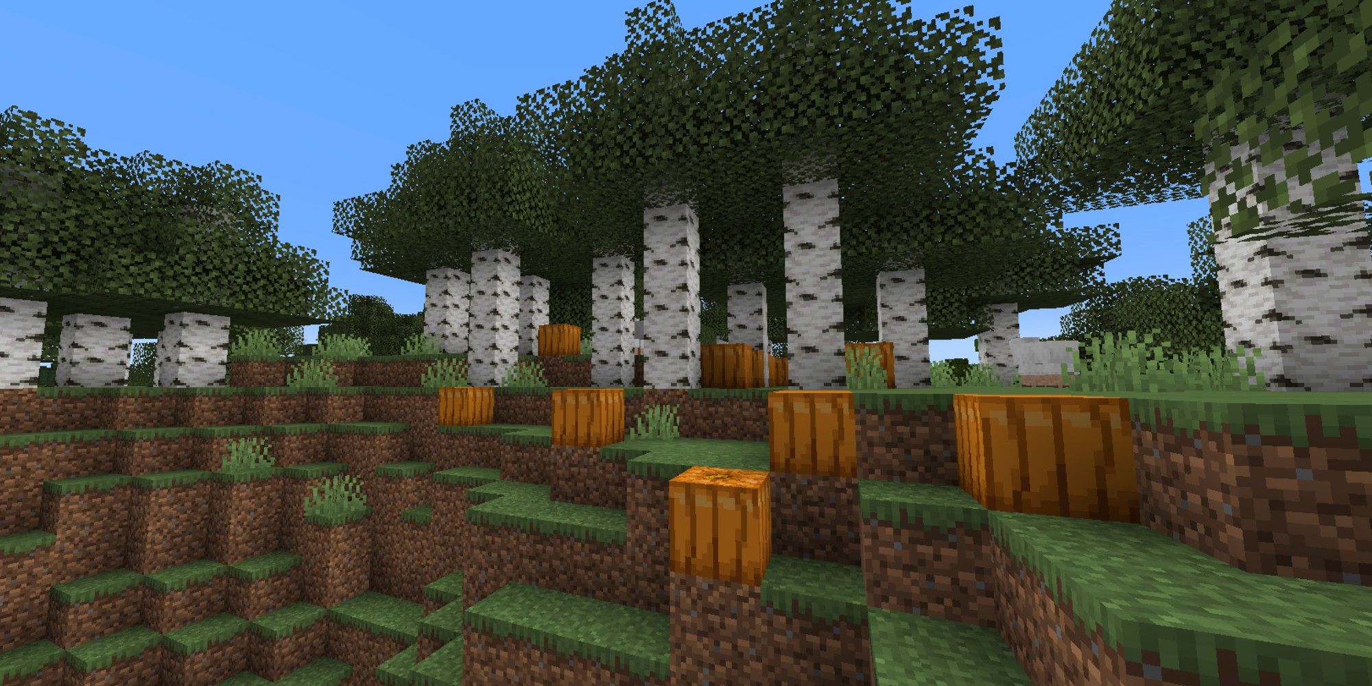 Minecraft genererer naturlig gresskar