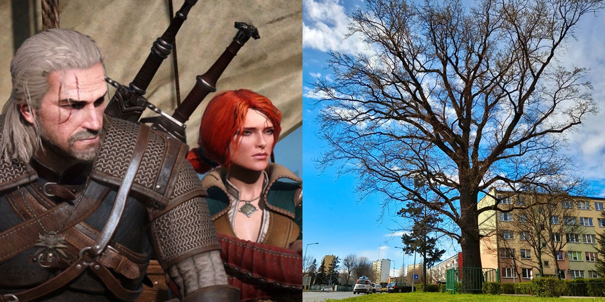 The Witcher 3 Alberi in Polonia