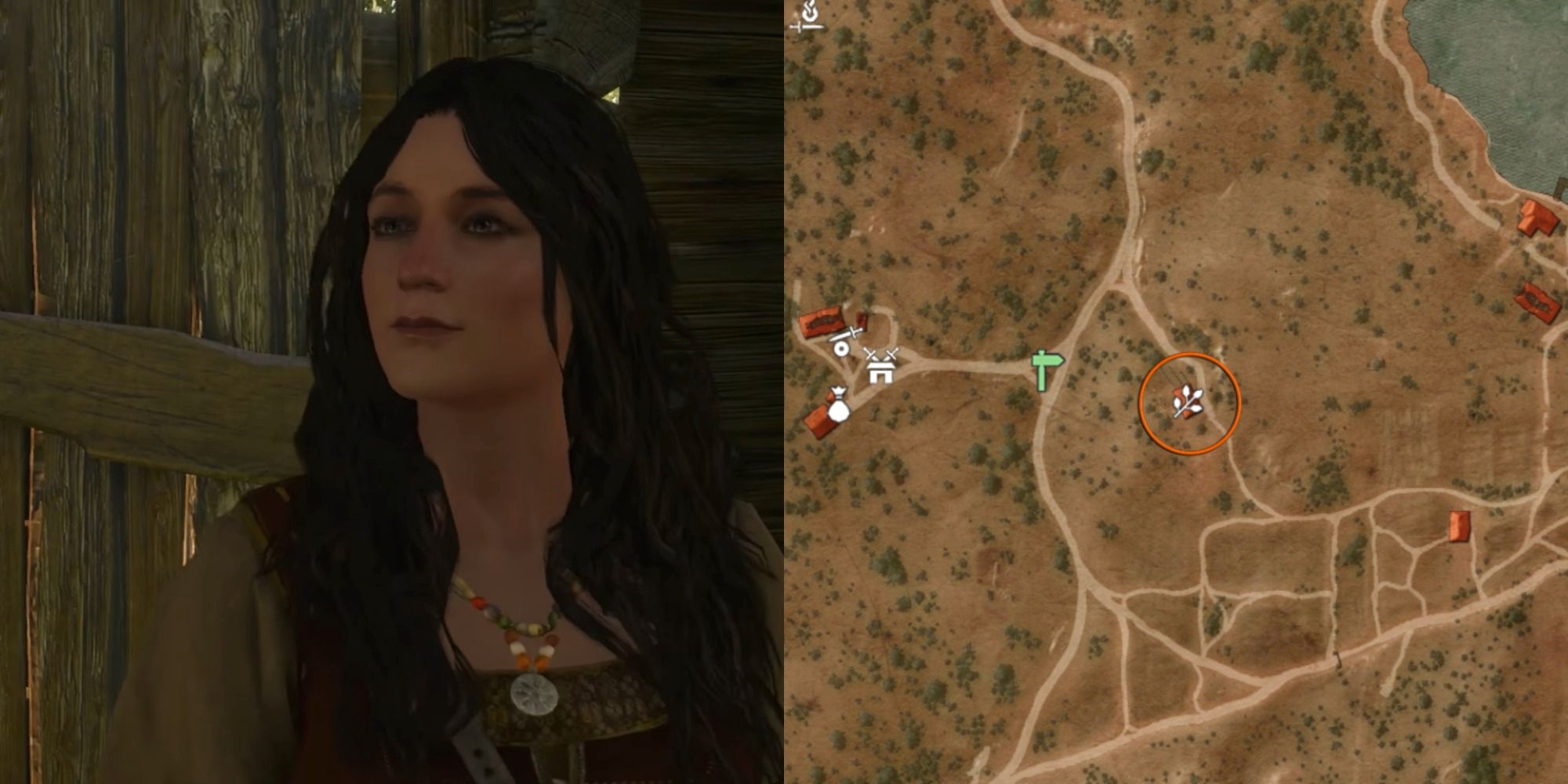 Witcher 3 Tomira And Her Hut Location