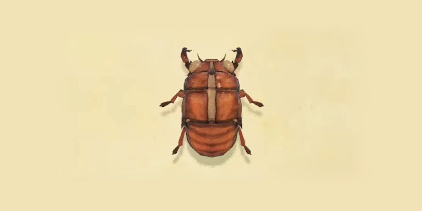 တိရစ္ဆာန်ဖြတ်ကျော်ခြင်း New Horizons Cicada Shell