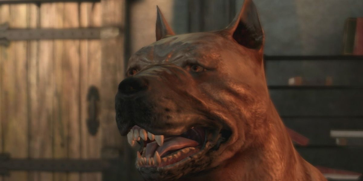 Dragon Age Dog beskåret