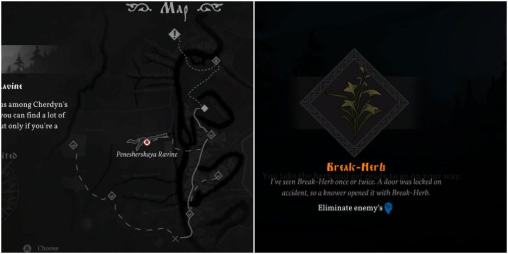 Feature Image Black Book Break Herb Guide