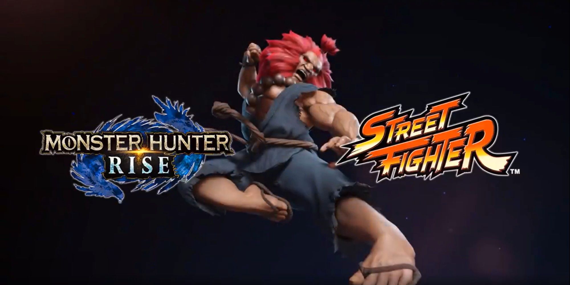 Monster Hunter Rise Akuma Street Fighter