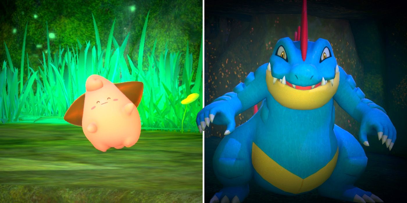 Nowy Pokemon Snap Mightywide River Night Cleffa Feraligatr